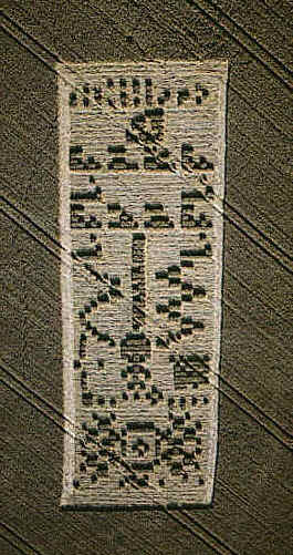 that the DNA strand shape that the DNA strand shape